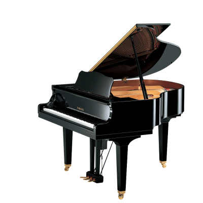 Yamaha DGB1K-ENST-PE Disklavier ENSPIRE ST Grand Piano 